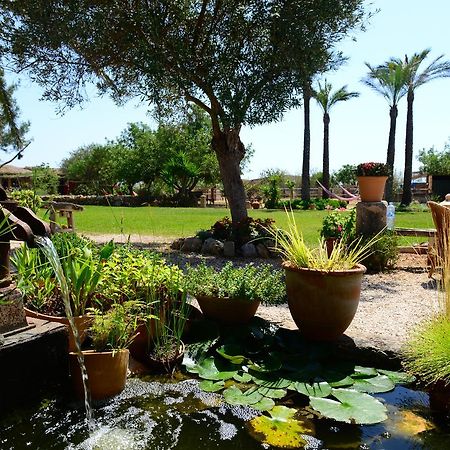 Agroturismo Finca Sant Blai Campos  Exterior photo