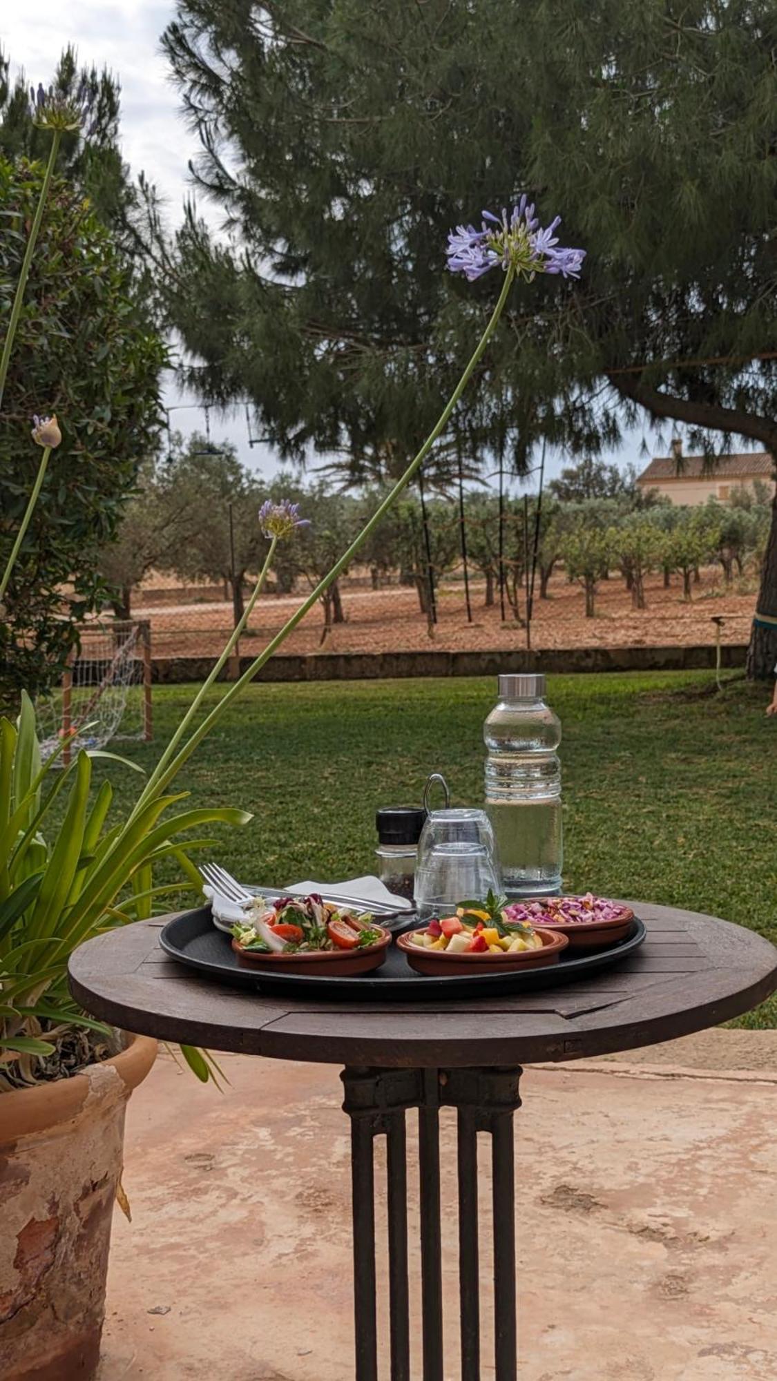 Agroturismo Finca Sant Blai Campos  Exterior photo