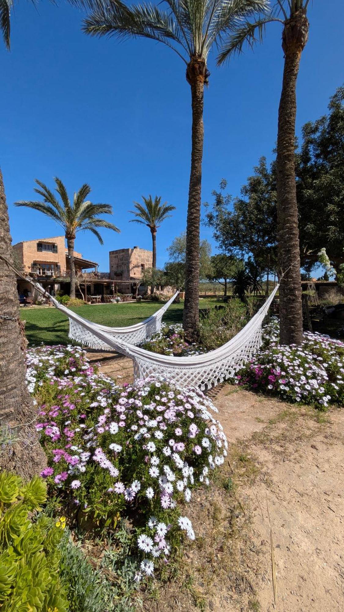 Agroturismo Finca Sant Blai Campos  Exterior photo
