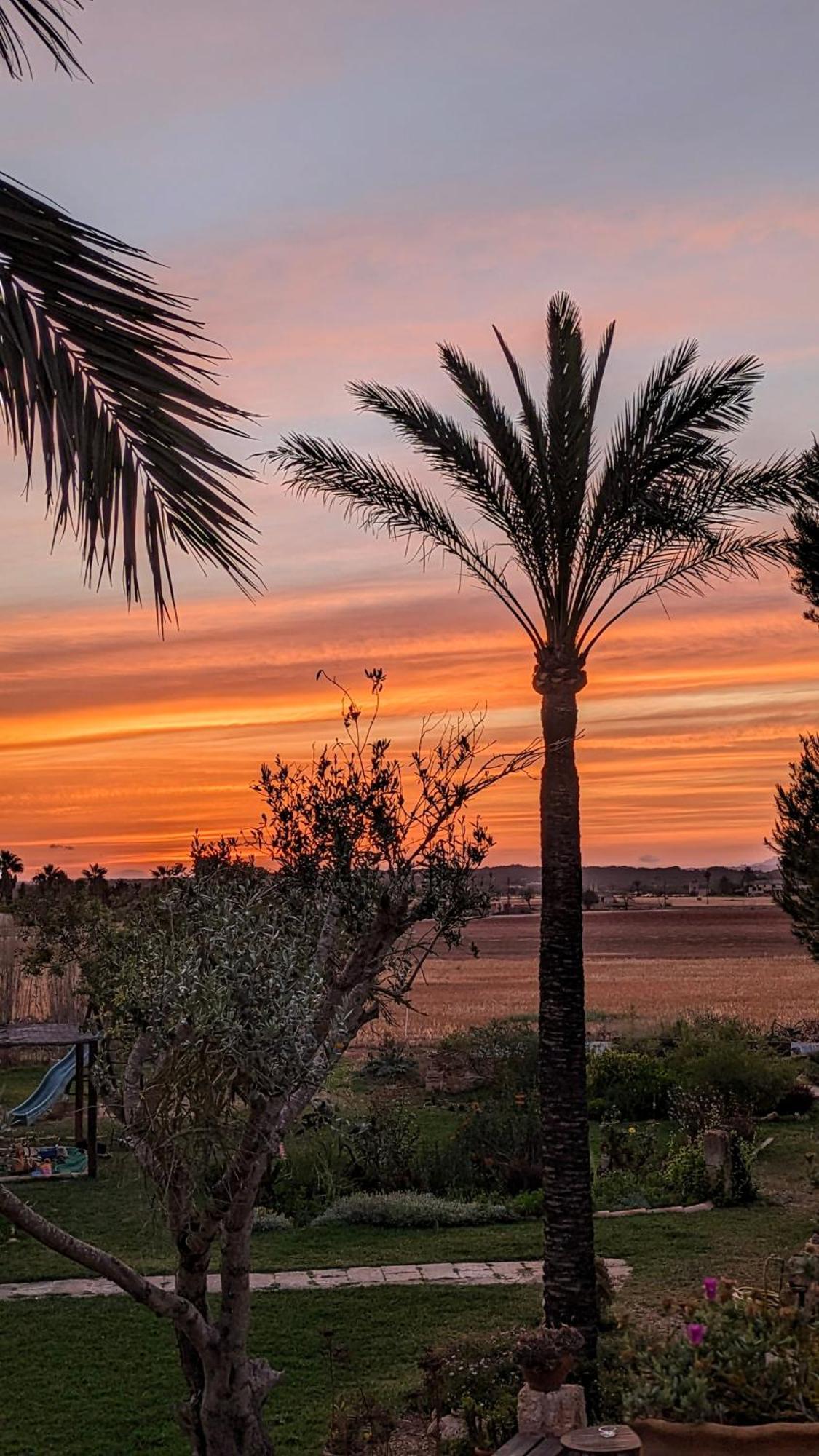 Agroturismo Finca Sant Blai Campos  Exterior photo