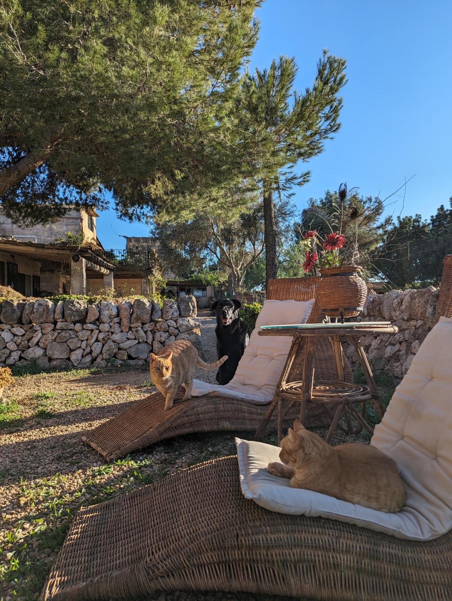 Agroturismo Finca Sant Blai Campos  Exterior photo
